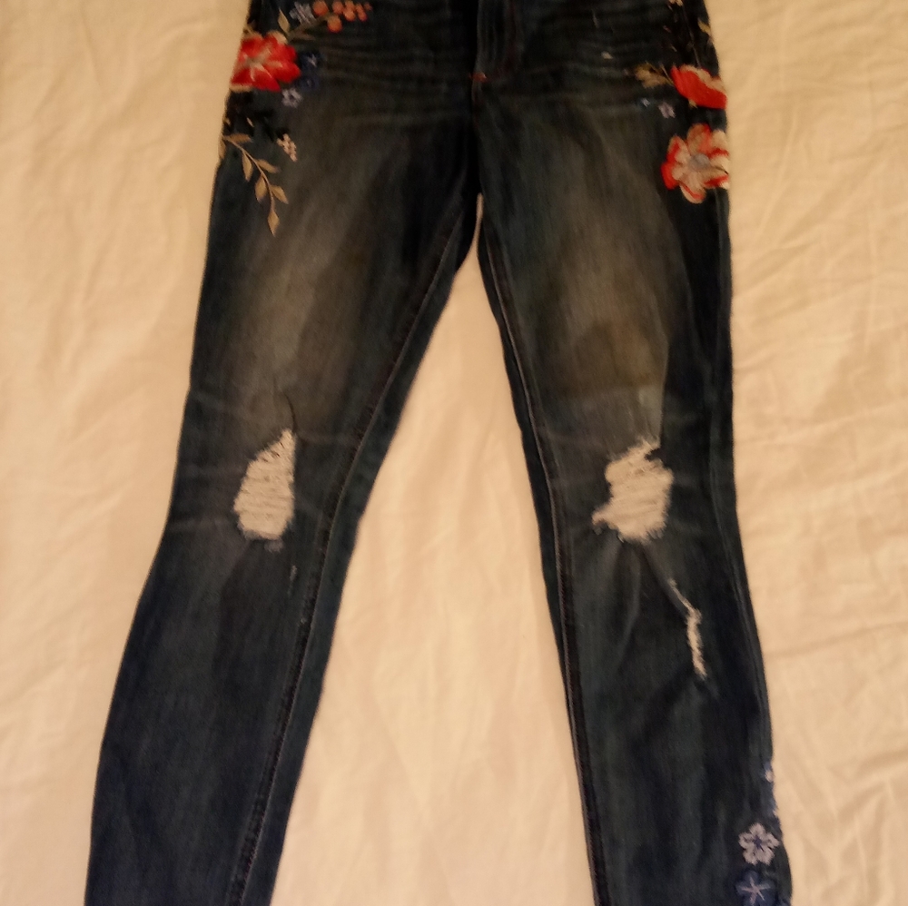 Express Embroidered Jeans